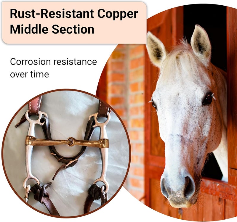 BRINGERPET Store Western Horse Bit Mouth Snaffle 5", Chrome-Plated, Rust-Resistant Copper Middle, Training Bit - Image 3